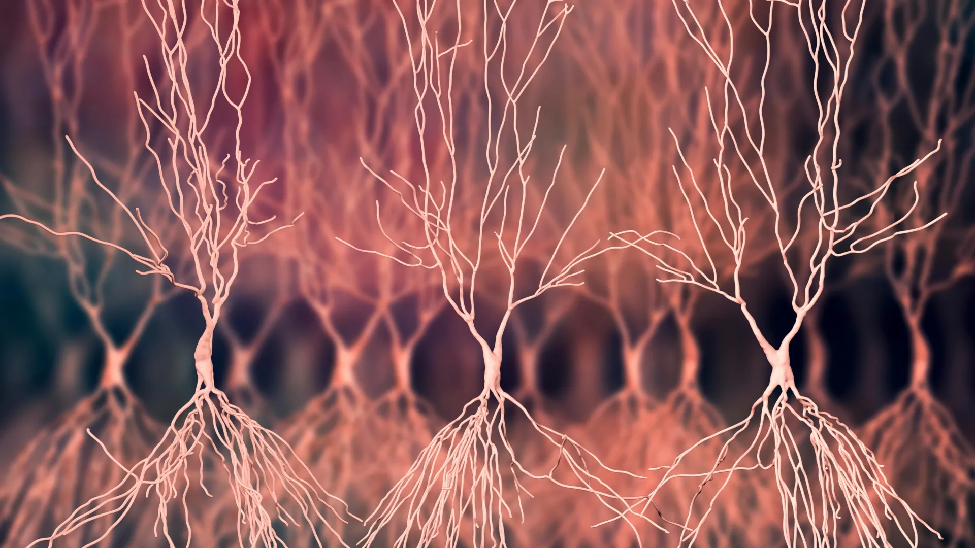 Dua Senyawa Baru Bawa Harapan dalam Penelitian Alzheimer
